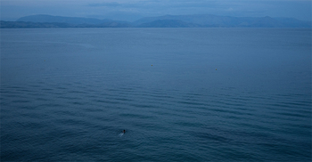 মালয়েশিয়া-থাইল্যান্ড সীমান্তের কাছে ৯০ অবৈধ অভিবাসী নিয়ে নৌকাডুবি