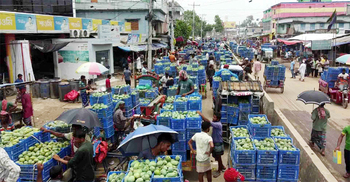 সাপাহারে প্রতিদিন বেচাকেনা ২৫ কোটি টাকার আম