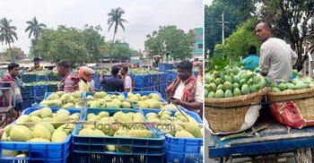 স্বাভাবিক হচ্ছে কানসাট আম বাজার