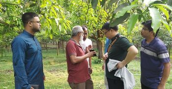 China keen to source 1.2 lakh tonnes mangoes from Chapainawabganj