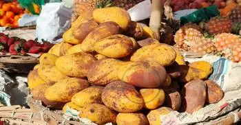 রমজানে বাজার মাতাচ্ছে কাটিমন আম