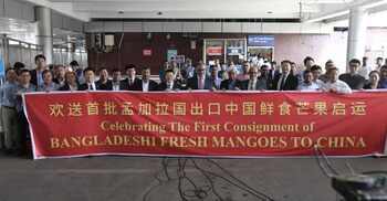 1st consignment of mangoes heads for China