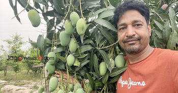 বারোমাসি আম চাষে স্বাবলম্বী রফিকুল