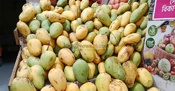 দীর্ঘ হচ্ছে আমের মৌসুম, শেষ দিকে দামও চড়া