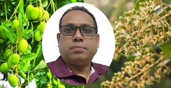 মুকুলে আমের স্বপ্ন, রপ্তানির চ্যালেঞ্জ