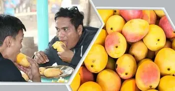 আম খেলে কি সত্যিই ওজন বাড়ে?