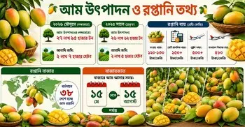 আমের উৎপাদন বৃদ্ধির আশার মধ্যেও রপ্তানি নিয়ে শঙ্কা