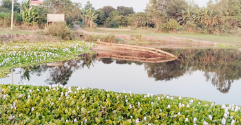 খালে পড়ে থাকা ভাঙা সেতুতে ডুবছে ১০ গ্রামের মানুষের স্বপ্ন