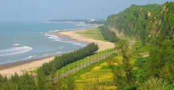 গাছ না কেটে মেরিন ড্রাইভ সড়ক প্রশস্তের নির্দেশ প্রধানমন্ত্রীর