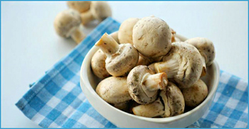 মাশরুম কেন খাবেন