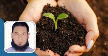 সুস্থ মাটি, সুস্থ শহর: বিশ্ব মৃত্তিকা দিবসের বার্তা