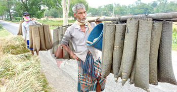 দিনমজুরি নেই, কুঁচিয়া শিকারই ভরসা