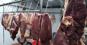 কিছুটা নিম্নমুখী গরুর মাংসের দাম