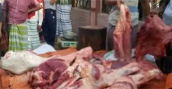 বাছুরসহ গরু জবাই করায় দুই কসাইকে জরিমানা