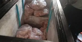 ফ্রিজে মিললো ৩৭ মণ মুরগির মাংস