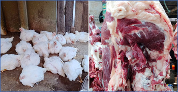 শবে বরাতকে ঘিরে বেড়েছে মুরগি-গরুর মাংসের দাম