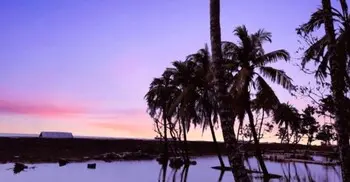 ঘুরে আসতে পারেন মেঘনার তীর থেকে