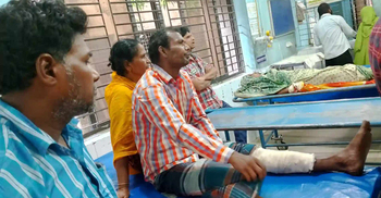 মেহেরপুরে শূকরের কামড়ে আহত ৭