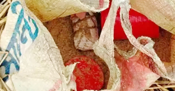 মেহেরপুরে বোমা সদৃশ বস্তু উদ্ধার