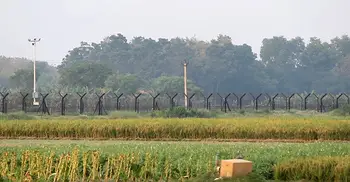 মেহেরপুর সীমান্তে বিজিবির নজরদারি জোরদার