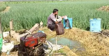 সেচ সংকটে পুড়ছে বোরো ক্ষেত, ডিজেল না পেয়ে দিশাহারা কৃষক