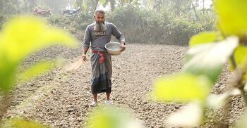 মেহেরপুরে সরকার নির্ধারিত দামে মিলছে না সার