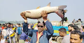 জামাই-শ্বশুরের বড় মাছ কেনার প্রতিযোগিতা