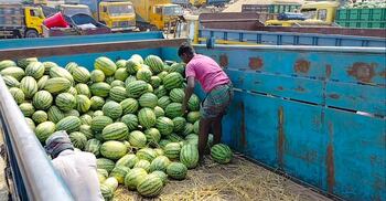 ট্রাকভাড়া এক লাফে দ্বিগুণ, আরও বাড়তে পারে তরমুজের দাম