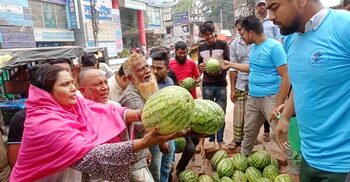 ফরিদপুরে ১০০ টাকা পিস তরমুজ