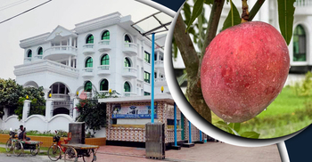 শিল্পপতির বাড়ির আমগাছ চুরি, থানায় অভিযোগ