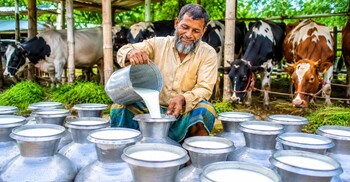 শ্বেত বিপ্লবের নেপথ্যে: খামারিদের ঘাম ও দুগ্ধ শিল্পের ভবিষ্যৎ