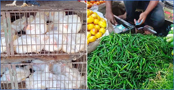 মুরগিতে বেড়েছে ২০ টাকা, কাঁচামরিচে দেড়শ