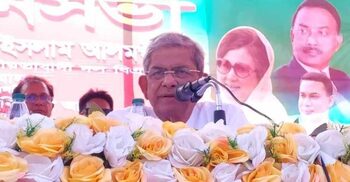 Interim government in no way be allowed to fail: Fakhrul
