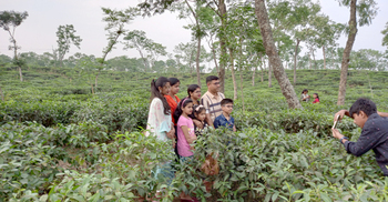স্থানীয়দের পদচারণায় মুখর মৌলভীবাজারের পর্যটনকেন্দ্র