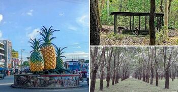 প্রকৃতির ক্যানভাসে আঁকা মধুপুর