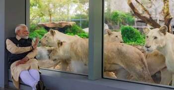 তদন্তের মুখে অনন্ত আম্বানির ব্যক্তিগত চিড়িয়াখানা