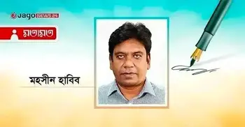 ট্রাফিক সিগন্যাল ও একটি জাতি