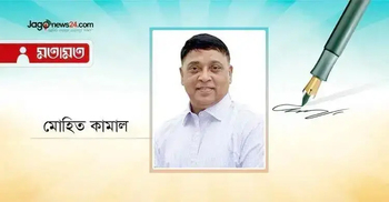 শান্তির ফুল