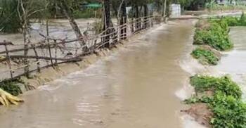 টানাবৃষ্টি-পাহাড়ি ঢলে ৬ গ্রাম প্লাবিত, ডুবে গেছে ফসলি জমি
