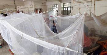 ময়মনসিংহ মেডিকেলে ডেঙ্গু আক্রান্ত নারীর মৃত্যু