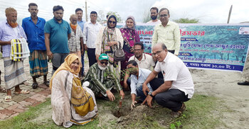লাগানো হবে ২০ হাজার গাছ