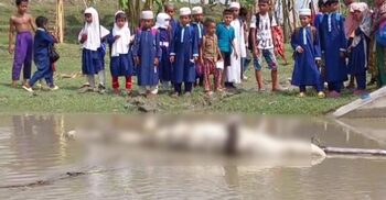 মোংলায় ভেসে এলো গলায় রশি বাঁধা মৃত কুমির