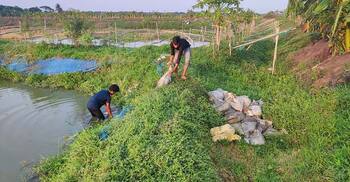 পোল্ট্রির বিষ্ঠা ব্যবহার, মৎস্য চাষিকে ৫০ হাজার টাকা জরিমানা