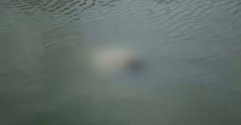 খাবার খেতে ব্যস্ত বাবা-মা, পুকুরে পড়ে দুই শিশুর মৃত্যু