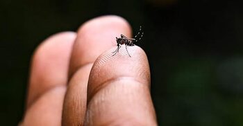 US approves first vaccine against chikungunya virus