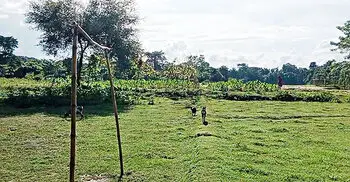 কাঁটাতার ও সড়কের অভাবে সীমান্তে বেপরোয়া চোরাচালানিরা