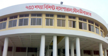 মৌলভীবাজারে আরও ৬ জনের ডেঙ্গু শনাক্ত