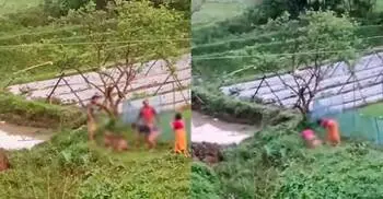 চুরির অপবাদে প্রতিবেশীকে হাত-পা বেঁধে নির্যাতন