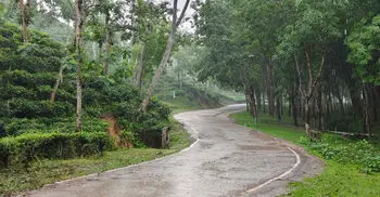 মৌলভীবাজারে দেশের সর্বোচ্চ বৃষ্টিপাত রেকর্ড