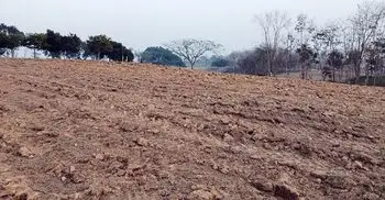 মৌলভীবাজারের গল্ফ মাঠ খুঁড়ে ফেলছে চা বাগান কর্তৃপক্ষ